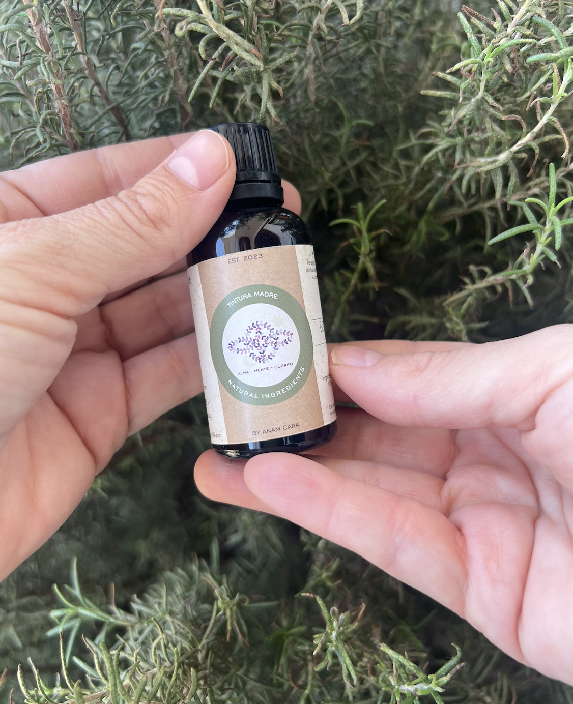 Tintura madre Equinácea